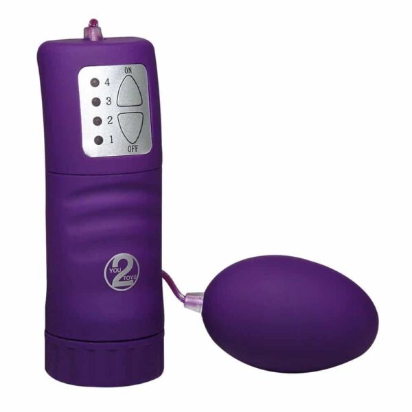 You2Toys Velvet Purple Vibrator Æg