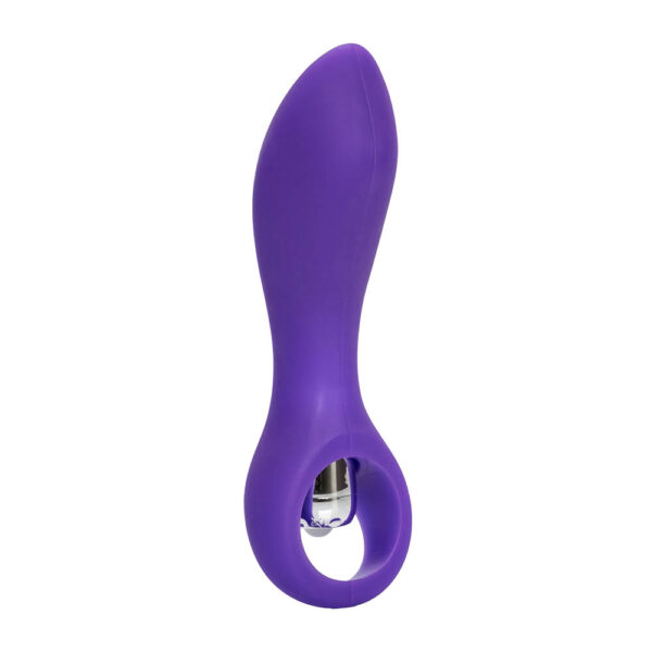 CalExotics Booty Probe Buttplug Vibrator