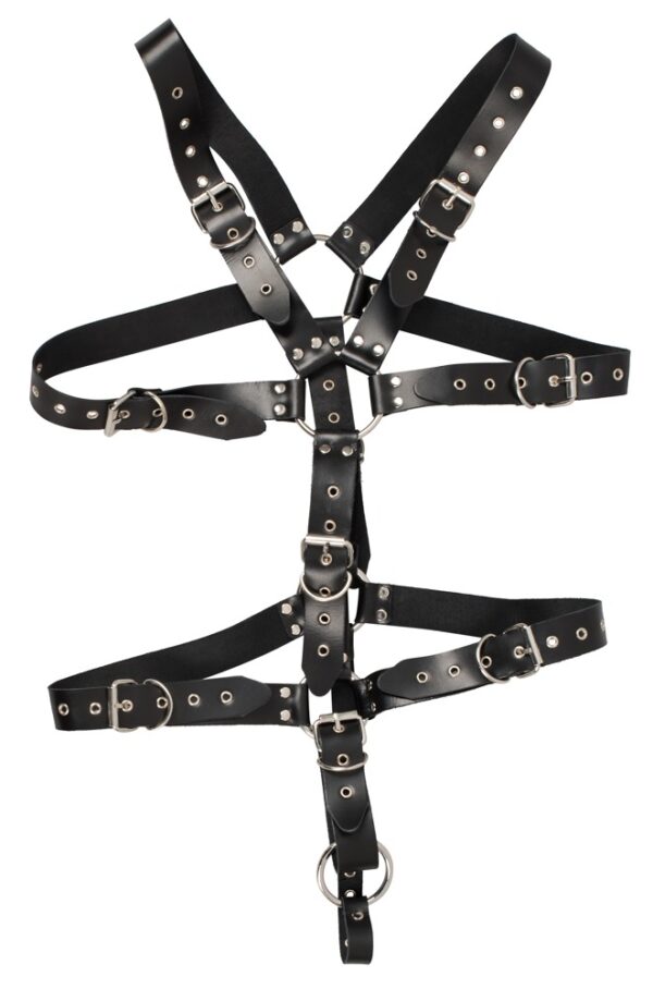 Harness sort S-L