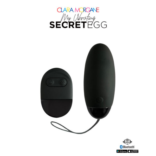 My Vibrating Secret EGG Black  App controlled