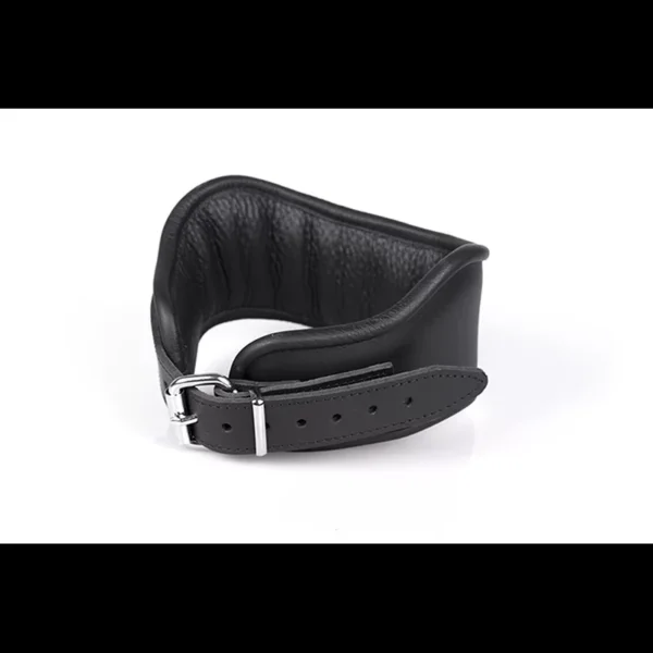 Posture Collar  Halsbånd