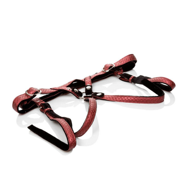 CalExotics "The Regal Duchess" Harness Rød